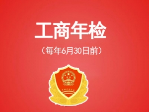 工商年检